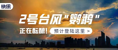 2号台风鹦鹉即将登陆公众号封面