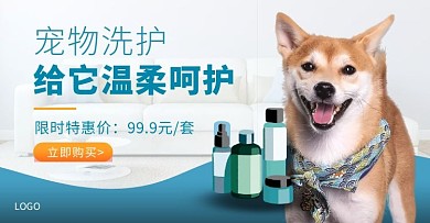 蓝色宠物洗护促销简约电商横版海报