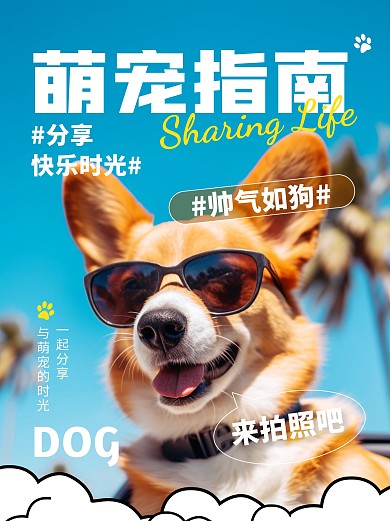 宠物狗狗指南配图小红书