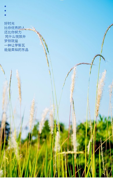 青春毕业季毕业旅行青春梦想再见青春海报