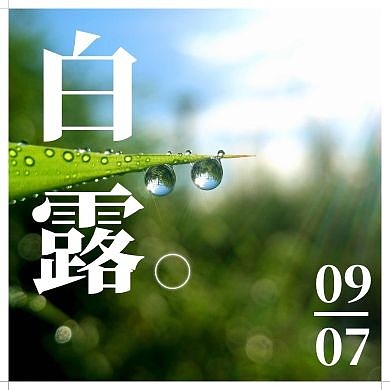 白露公众号封面次图