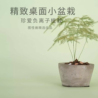 桌面精致绿植小盆栽清新淘宝主图