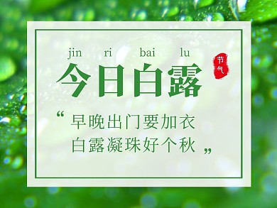 今日白露公众号配图