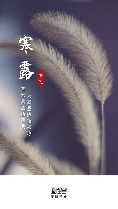 寒露传统节气实景启动页