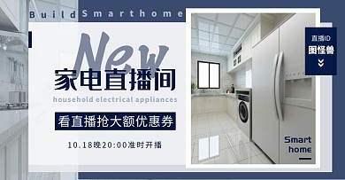 简约现代家电直播电商横版海报
