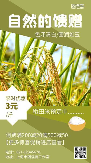 绿色简约大气几何稻米田宣传海报