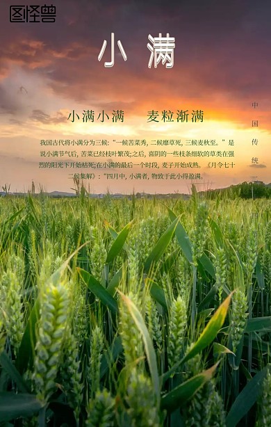 小满节气手机海报