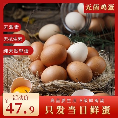 无菌鸡蛋主图简约红色特惠直通车