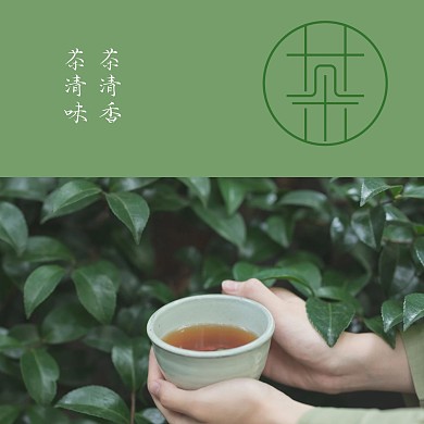 绿色茶美食餐饮茶叶茶水古风简约cd封面