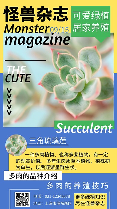拼色摄影图简约杂志封面手机海报