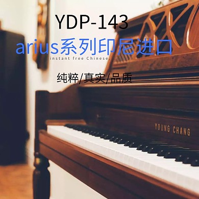 钢琴主图 进口钢琴 主图