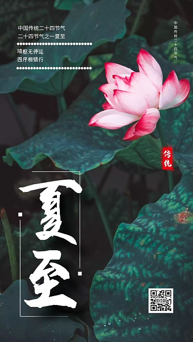 简约大气创意摄影风荷花夏至节气手机海报