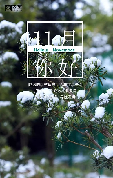 11月你好手机营销海报
