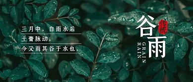 谷雨传统节气习俗植物摄影公众号封面