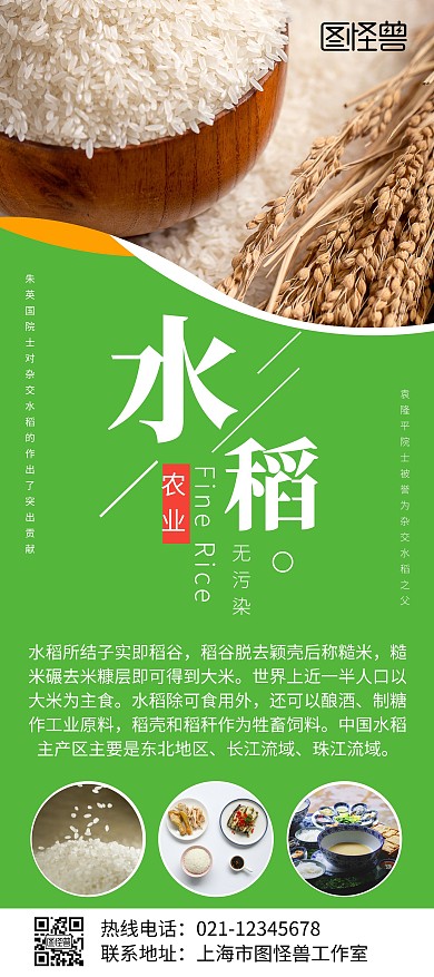 农业公司水稻绿色X展架