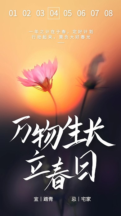 花卉简约立春节气祝福日签