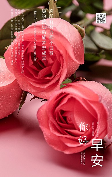  早安 黑白灰调日签