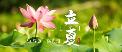 摄影唯美荷花荷叶立夏节气习俗祝福封面首图