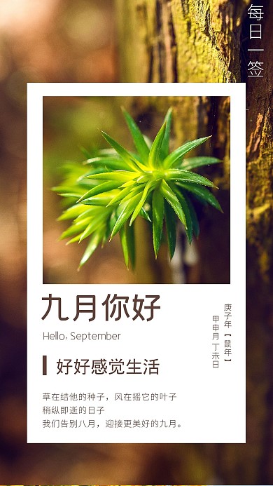 九月你好八月再见树木清新日签