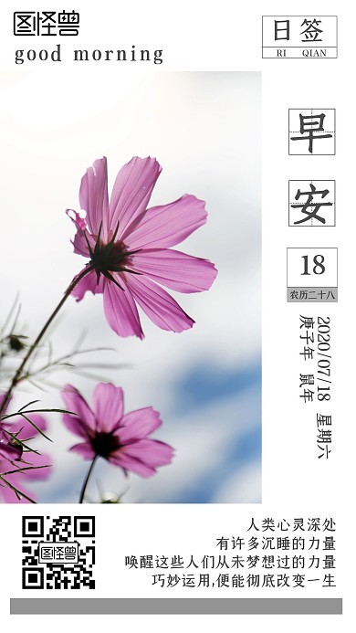 紫荆花早安问候文艺清新简约日签