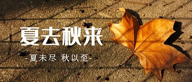 夏去秋来公众号封面摄影简约清新意境