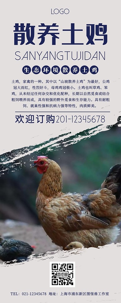 简约风散养土鸡营销长图