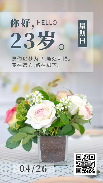 寿辰生日23岁你好花瓶简约日签