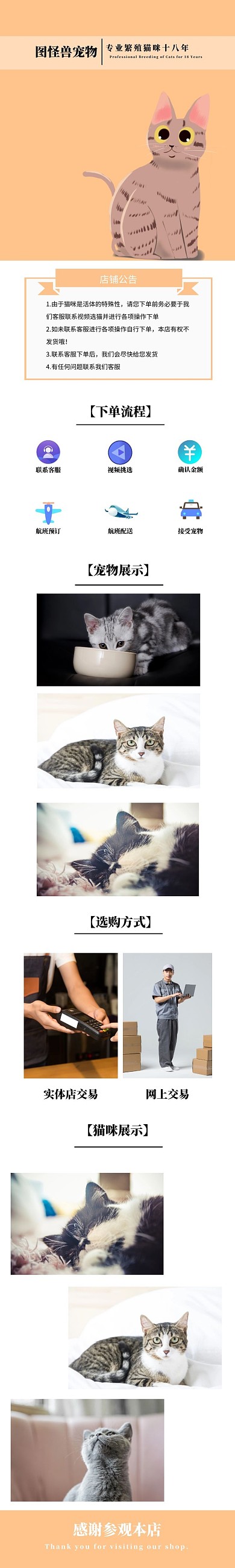 猫咪简约宣传电商详情页