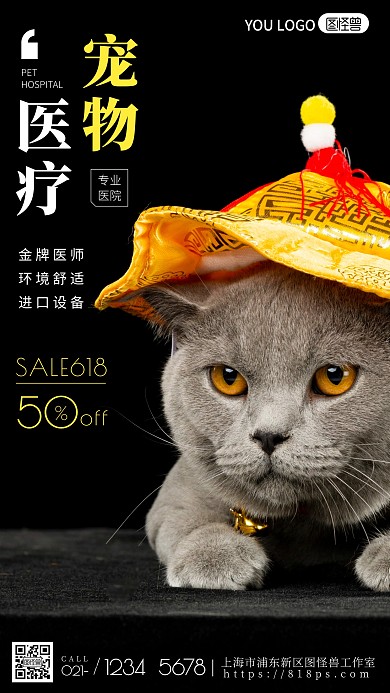 黑色简约猫咪宠物医疗医院摄影图海报