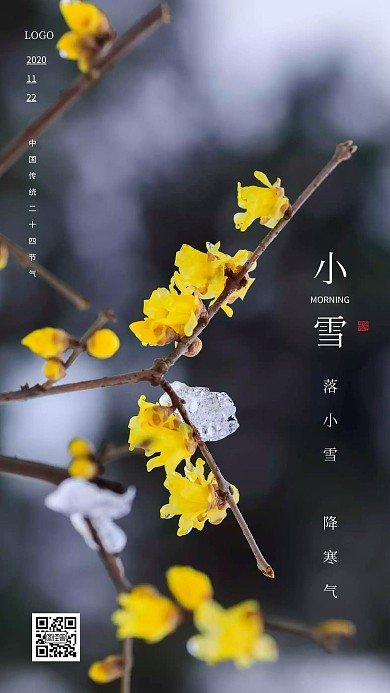 简约风摄影图小雪早安传统节气日签