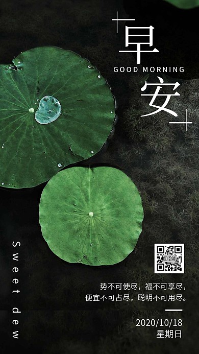 荷叶甘露早安语录摄影风黑色海报日签