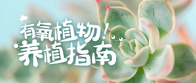 有氧植物多肉植物养殖业公众号封面首图