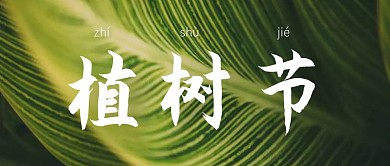 创意质感植树节公众号封面