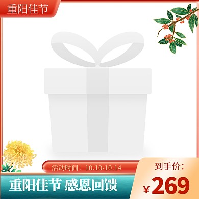重阳节质感大气精致促销电商主图图标