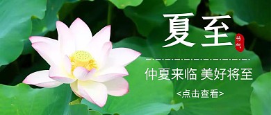 夏至节气荷花简约公众号封面首图