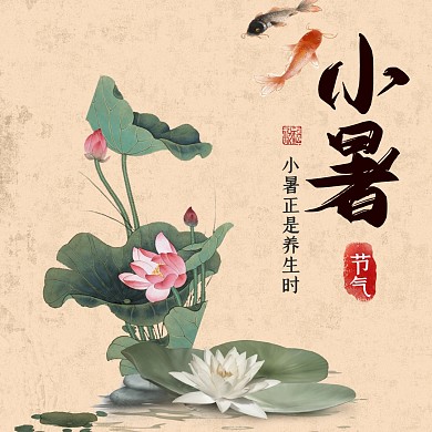古风荷花小暑节气养生微信公众号公众号配图