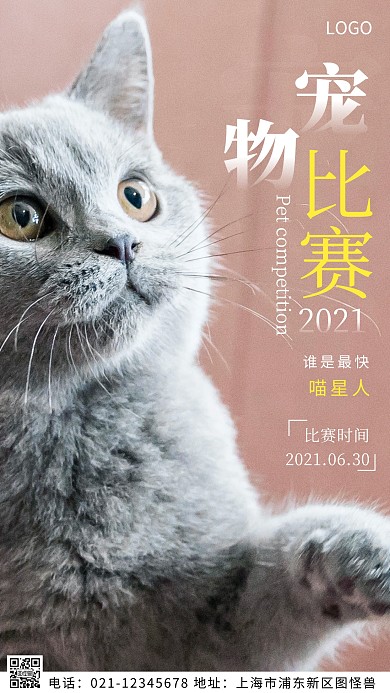摄影图宠物比赛通知白色简约风摄影图海报