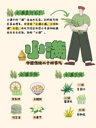 卡通插画小满节气科普小红书内页