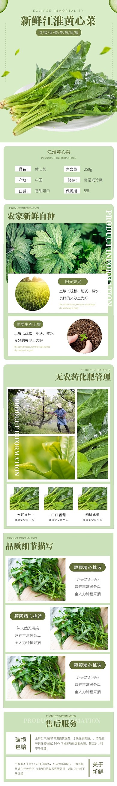 新鲜江淮黄心菜蔬菜详情页
