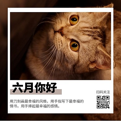 简约日系情感猫咪通用公众号配图