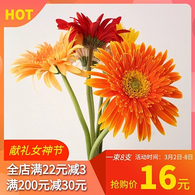 仿真花主图促销直通车