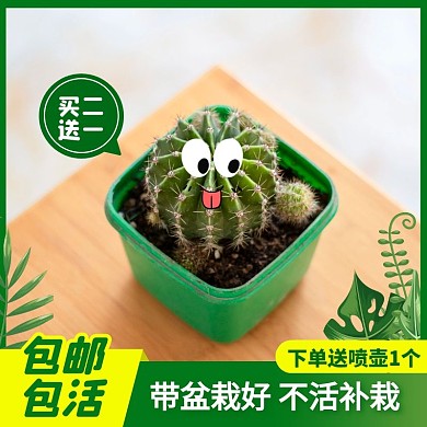绿色手绘绿植仙人球盆栽促销活动主图直通车