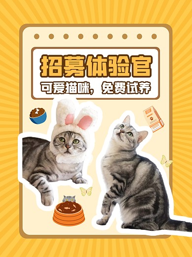 宠物猫咪领养小红书封面
