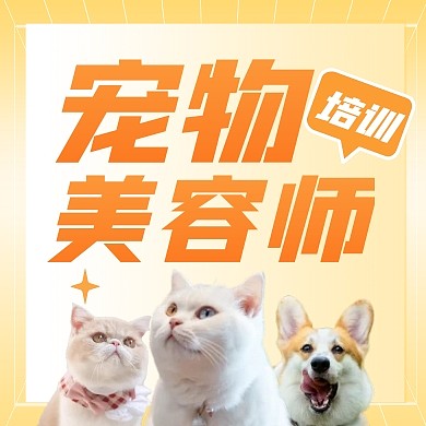宠物美容师技能培训公众号封面次图