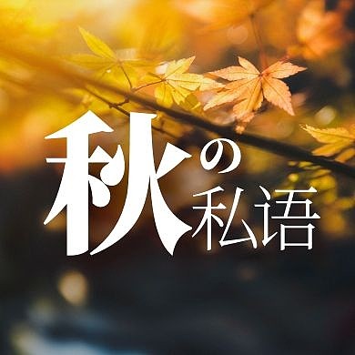秋季扁平照片公众号封面次图