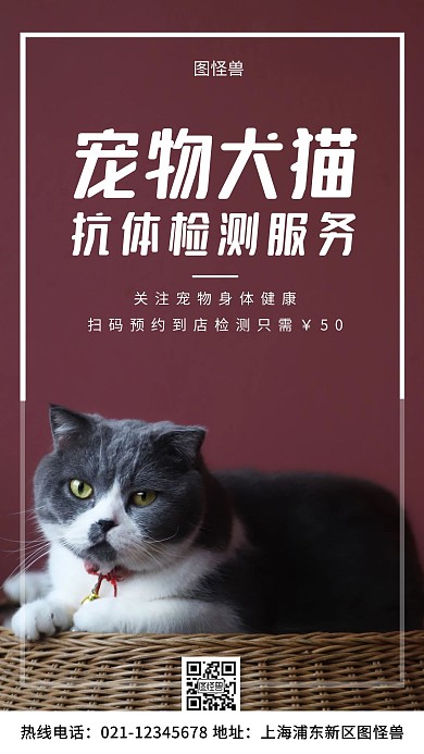 宠物犬猫抗体检测服务紫色简约风手机海报