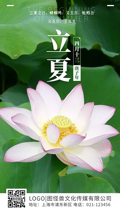 立夏传统节气品牌借势摄影荷花手机海报
