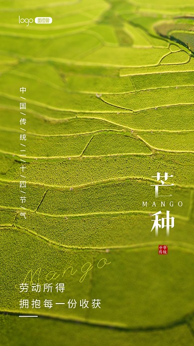 二十四节气节日芒种宣传推广摄影图海报