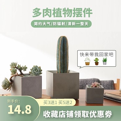 简约大气质感多肉植物素材背景主图直通车