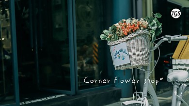 简约唯美鲜花电脑桌面